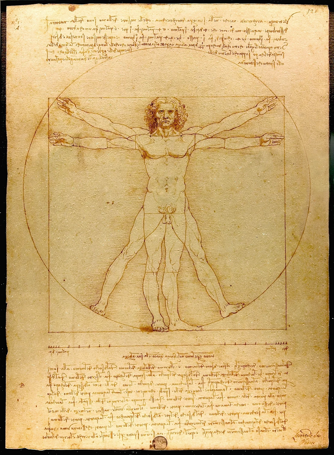 Homem Vitruviano, desenho de Leonardo da Vinci com a figura humana em um círculo e um quadrado